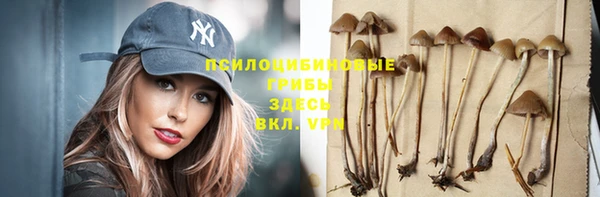 apvp Покачи