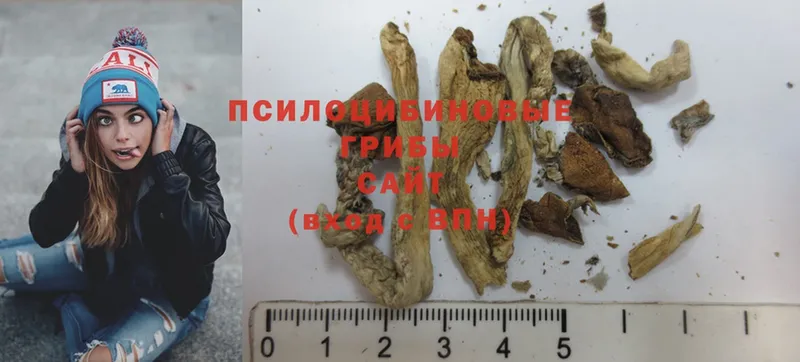 Галлюциногенные грибы Magic Shrooms  Западная Двина 