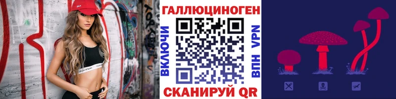 Галлюциногенные грибы мицелий что такое наркотик Западная Двина